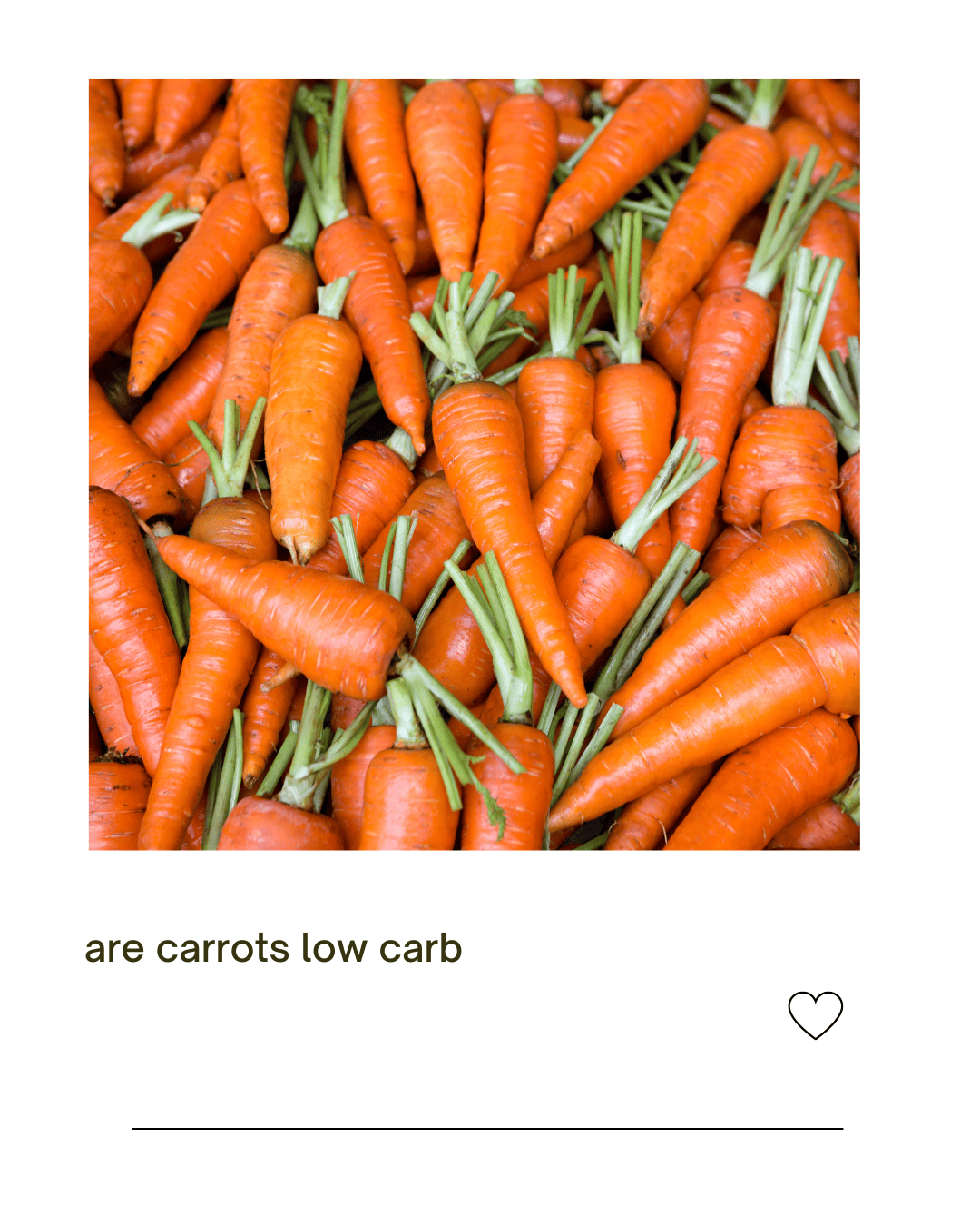 Are carrots low carb Can you eat on Keto diet? Everyday Ketogenic